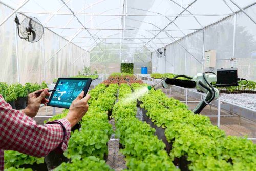 🌾 El Impacto de la Inteligencia Artificial en la Productividad Empresarial: Una Oportunidad para el Agro empresario Venezolano